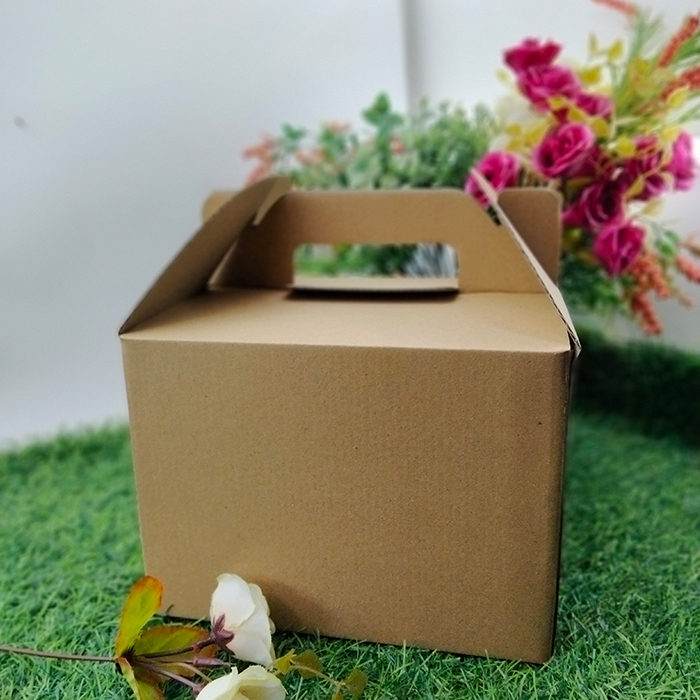 Kotak Makanan Penyimpanan Dos Kardus Oleh-oleh Serbaguna 21 x 21 x 15 Dos Kotak Nasi