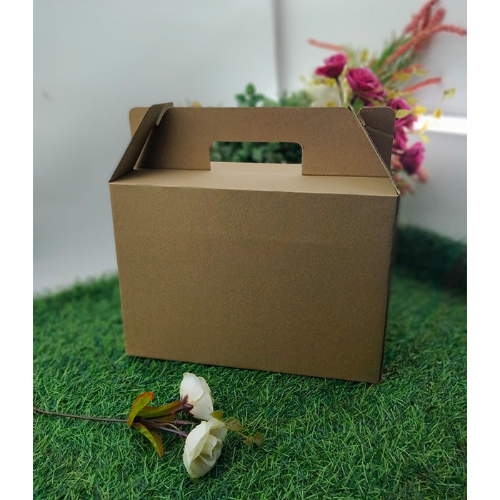 Kotak Makanan Penyimpanan Dos Kardus Oleh-oleh Serbaguna 27 x 12 x 20 Dus Tempe