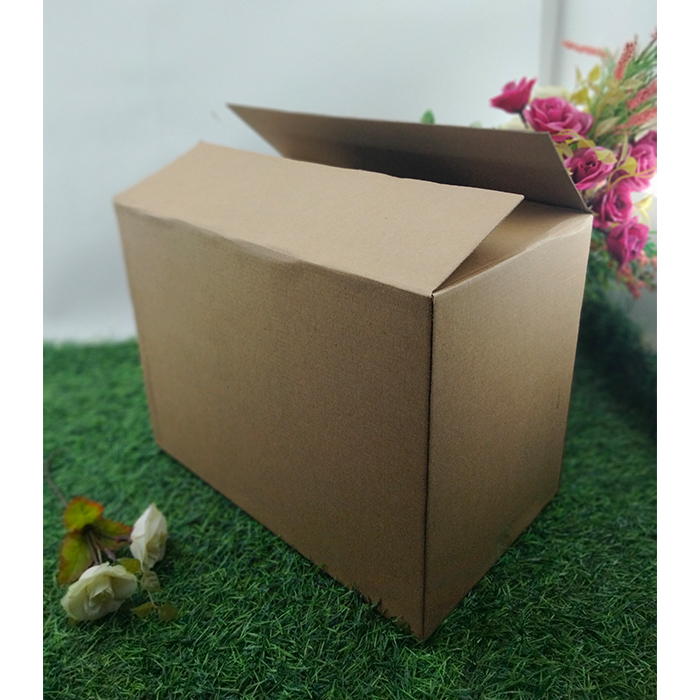 Kotak Makanan Penyimpanan Dos Kardus Oleh-oleh Serbaguna 32 x 19 x 24 Kardus Aqua