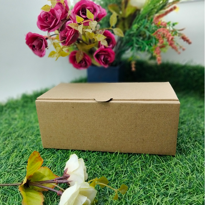 Kotak Dos Kardus Custom Hampers Polos Eflute 20 x 10 x 8 Pizza 1