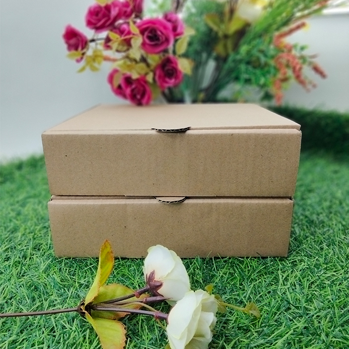 Kotak Dos Kardus Custom Hampers Polos Eflute 20 x 20 x 5 Pizza M