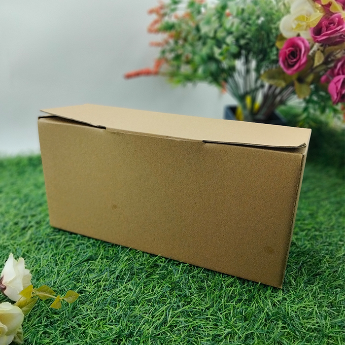 Kotak Sepatu Penyimpanan Dos Kardus Oleh-oleh Serbaguna 27 x 9 x 13 Kardus Sepatu D