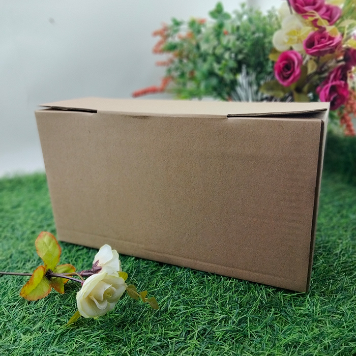 Kotak Sepatu Penyimpanan Dos Kardus Oleh-oleh Serbaguna 29 x 11 x 16 Kardus Sepatu E