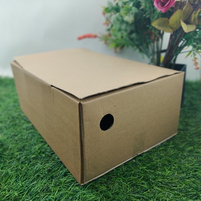 Kotak Sepatu Penyimpanan Dos Kardus Oleh-oleh Serbaguna 29 x 19 x 11 Kardus Sepatu F