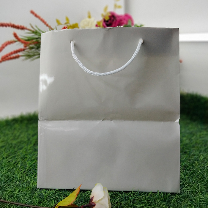 Tas Kertas Art Paper Laminasi Tas Dos Nasi 22 x 22 x 25 cm Tas Dos Nasi Laminasi