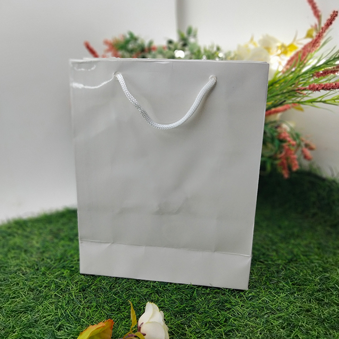 Tas Kertas Ivori Laminasi Licin Belanja Hadiah Kado Polos Tanpa Motif Tas Polos Laminasi C